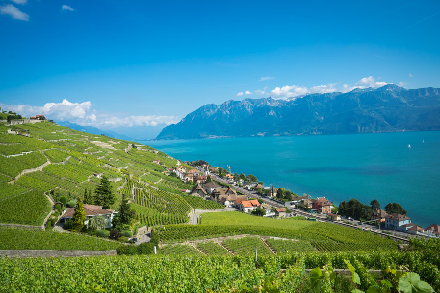 La région du Lavaux, canton de Vaud, Suisse