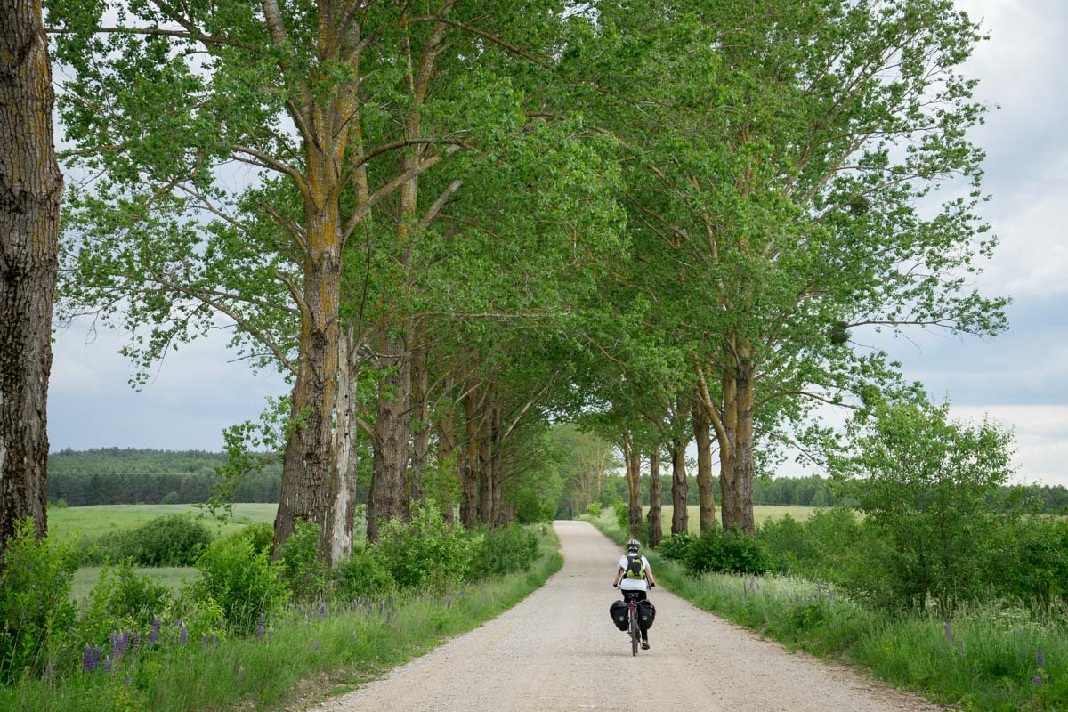 parc naturel de Knyszyn, Podlachie, Pologne - Green velo