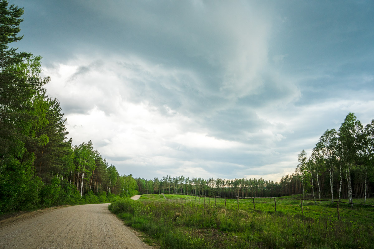 parc naturel de Knyszyn, Podlachie, Pologne - Green velo