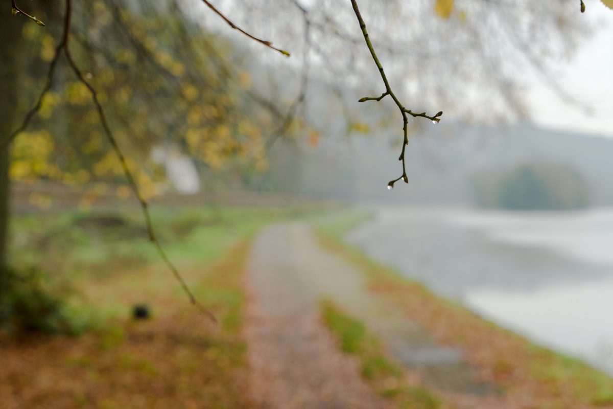 Eurovélo 5 et Eurovélo 19 dans la vallée de la Meuse en Wallonie, Belgique. En Automne.